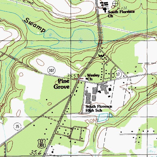 Topographic Map of Pine Grove, SC