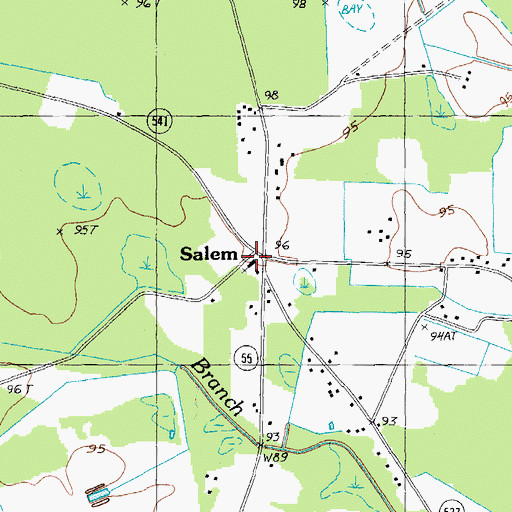 Topographic Map of Salem Church, SC