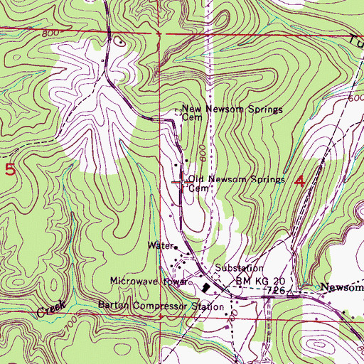 Topographic Map of Old Newsom Springs Cemetery, AL