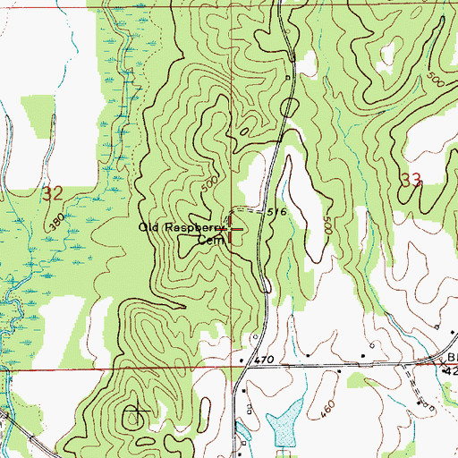 Topographic Map of Old Raspberry Cemetery, AL