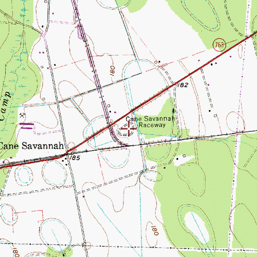 Topographic Map of Cane Savannah Raceway, SC