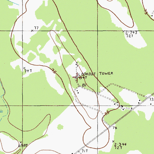 Topographic Map of Lane Fire Tower, SC