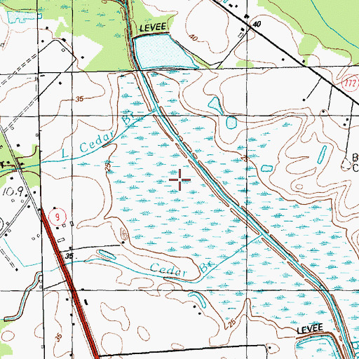 Topographic Map of Little Cedar Pond, SC