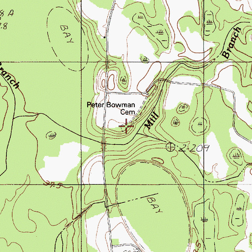 Topographic Map of Peter Bowman Cemetery, SC