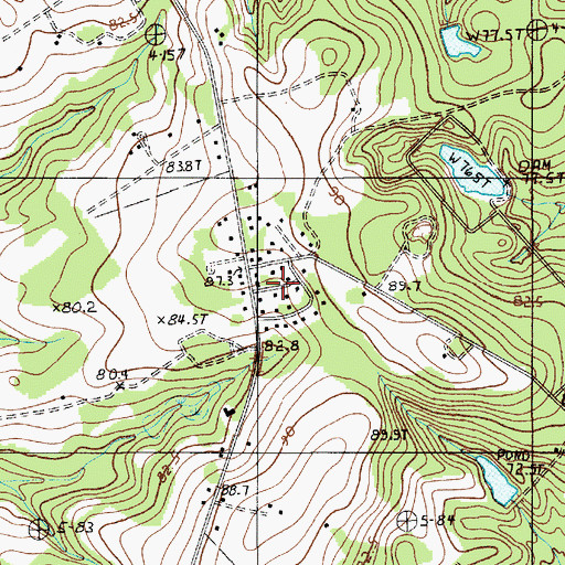 Topographic Map of Pine Tops, SC
