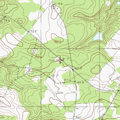 Topographic Map of Shady Grove Church (historical), SC