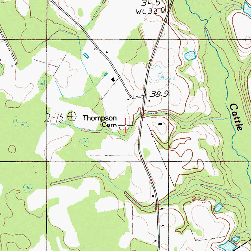 Topographic Map of Thompson Cemetery, SC