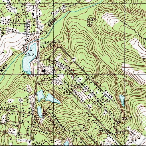 Topographic Map of Turkey Hill, SC