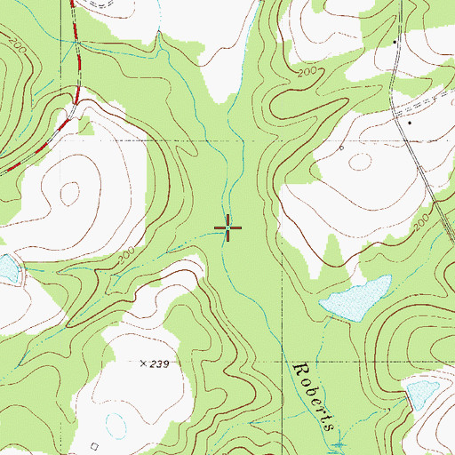Topographic Map of Twomile Swamp, SC