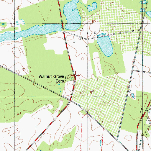 Topographic Map of Walnut Grove Church, SC