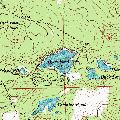 Topographic Map of Open Pond, AL