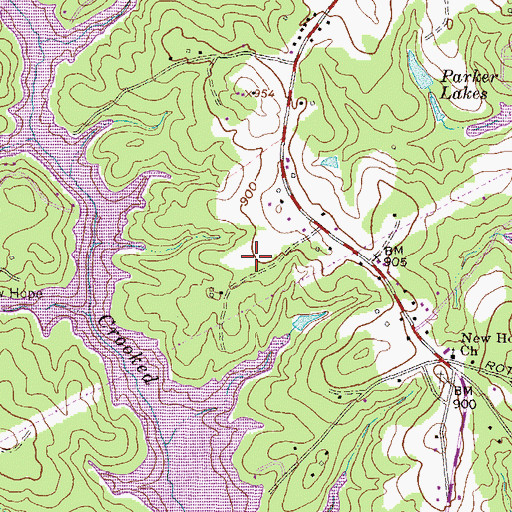Topographic Map of Saxony Forest, SC