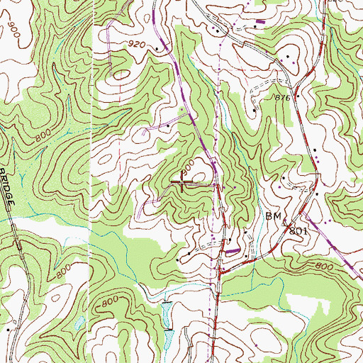 Topographic Map of The Woods, SC
