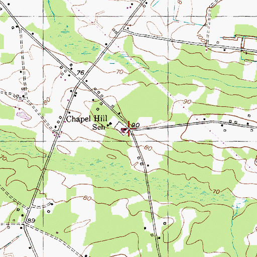 Topographic Map of Antioch Church, SC