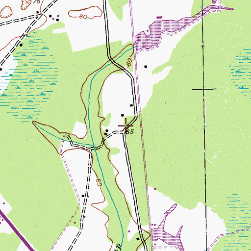 Topographic Map of Browns Swamp Church (historical), SC