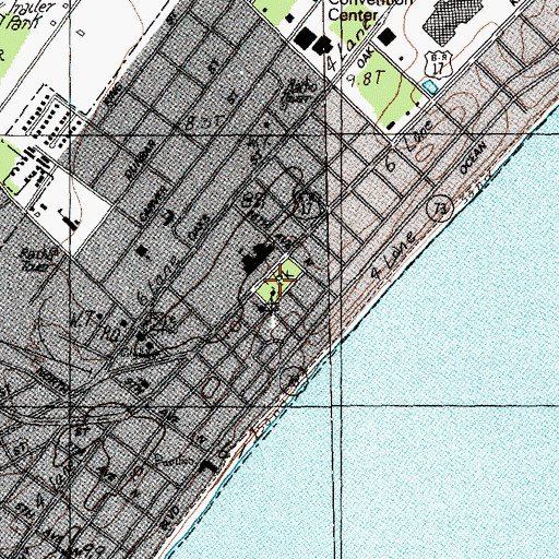 Topographic Map of Chapin Memorial Park, SC