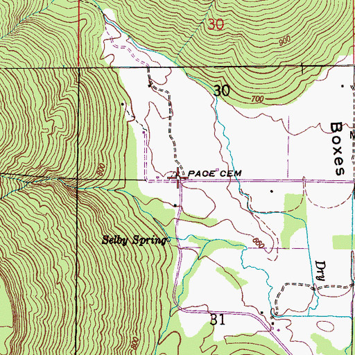 Topographic Map of Pace Cemetery, AL