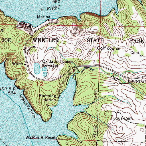 Topographic Map of Page Branch, AL