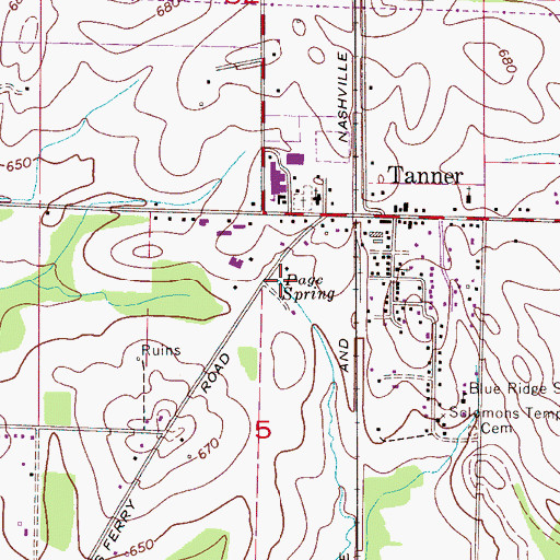 Topographic Map of Page Spring, AL