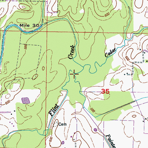 Topographic Map of Painter Branch, AL
