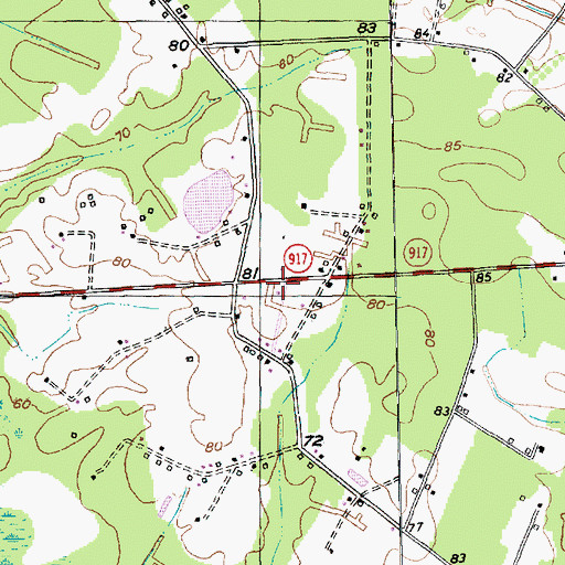 Topographic Map of Lake Swamp Church, SC