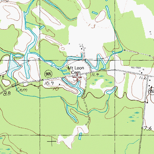 Topographic Map of Mount Leon Cemetery, SC