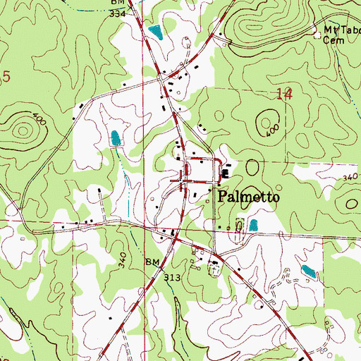 Topographic Map of Palmetto, AL