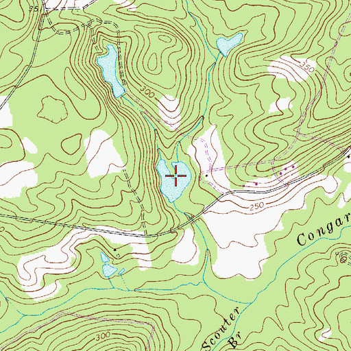 Topographic Map of Carroll Pond, SC