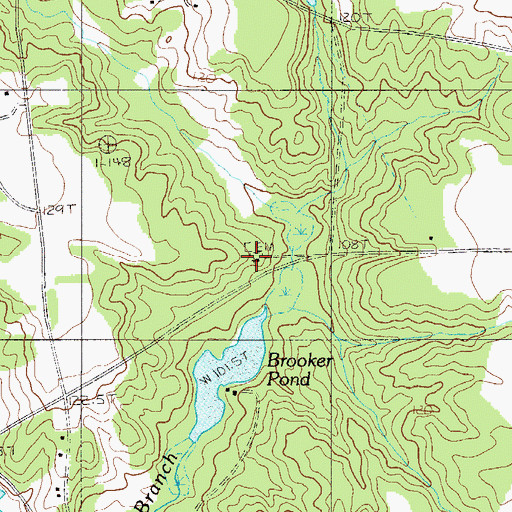 Topographic Map of Central Church, SC