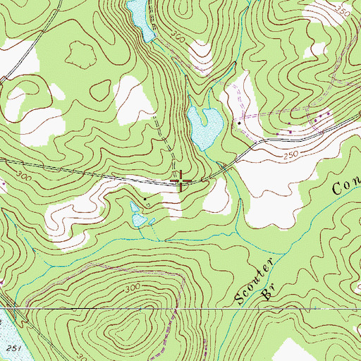 Topographic Map of Congaree (historical), SC