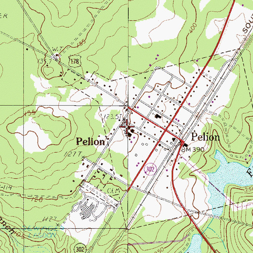Topographic Map of Pelion Elementary School, SC