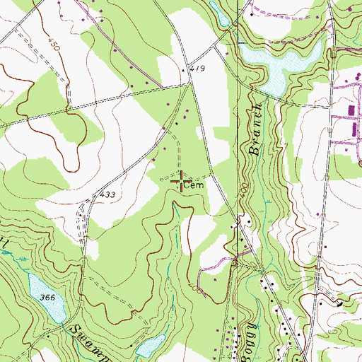 Topographic Map of Reichter - Richter Cemetery, SC