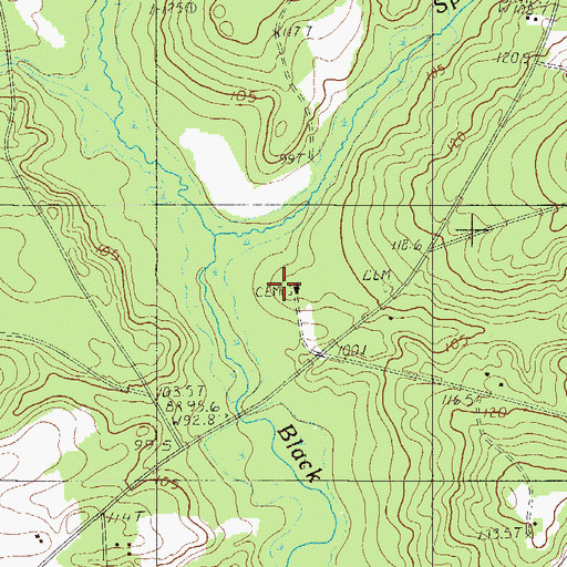 Topographic Map of Saint Johns Cemetery, SC