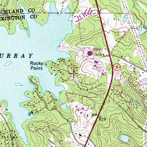 Topographic Map of Selwood Shores, SC