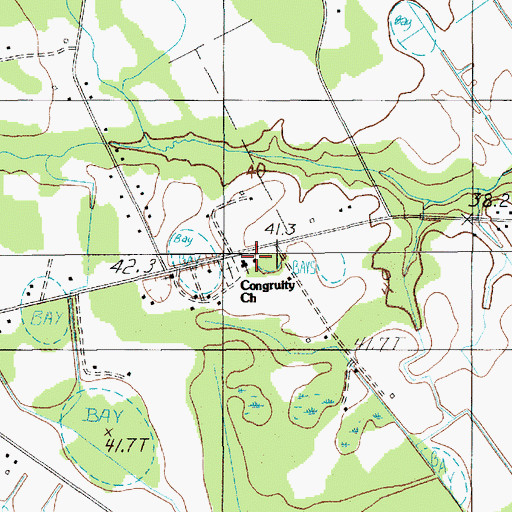 Topographic Map of Congruity School (historical), SC
