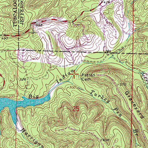 Topographic Map of Patton Cemetery, AL