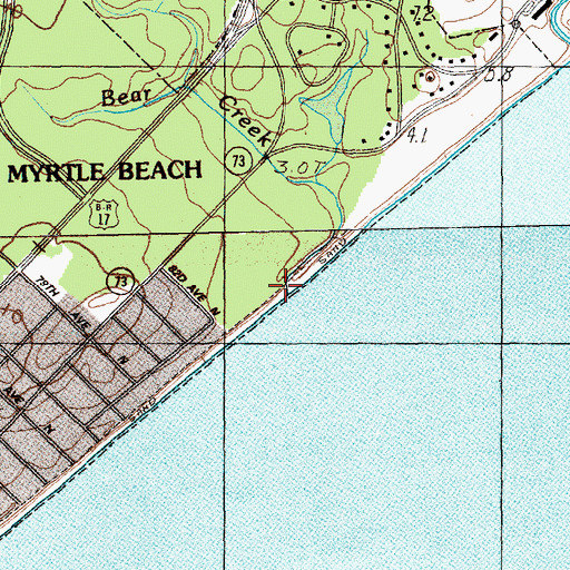 Topographic Map of Bear Branch, SC