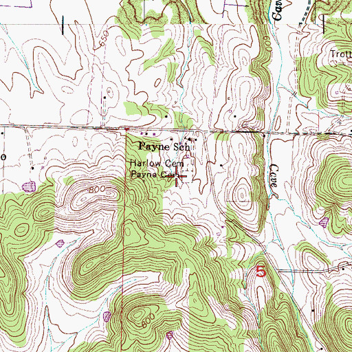 Topographic Map of Payne Cemetery, AL