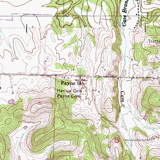 Topographic Map of Payne School, AL