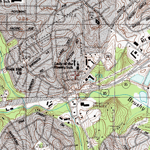 Topographic Map of Dreher Colony, SC