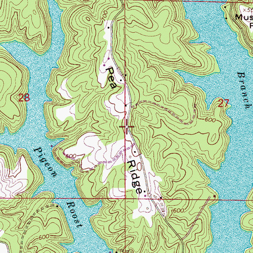 Topographic Map of Pea Ridge, AL