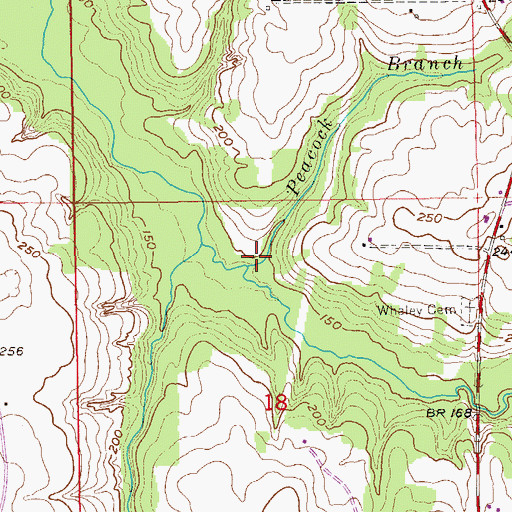 Topographic Map of Peacock Branch, AL