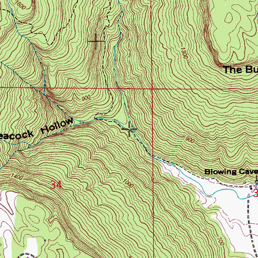 Topographic Map of Peacock Hollow, AL
