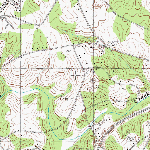 Topographic Map of Palmetto Downs, SC