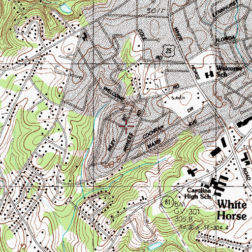 Topographic Map of Riley Estates, SC