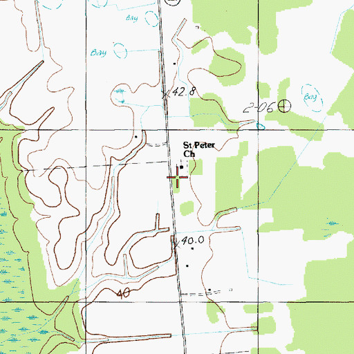 Topographic Map of Saint Peter School (historical), SC