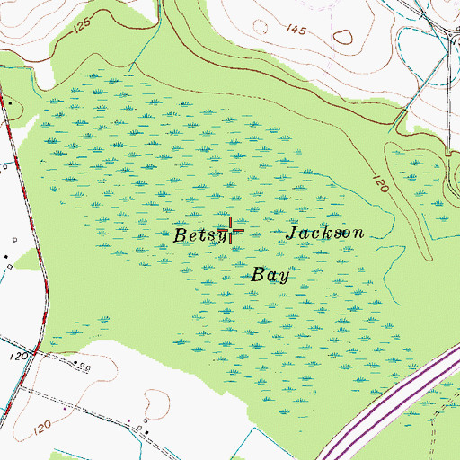 Topographic Map of Betsy Jackson Bay, SC