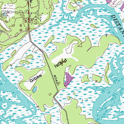 Topographic Map of Gibbs Island, SC