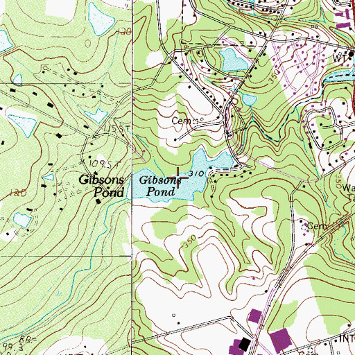 Topographic Map of Gibsons Pond, SC