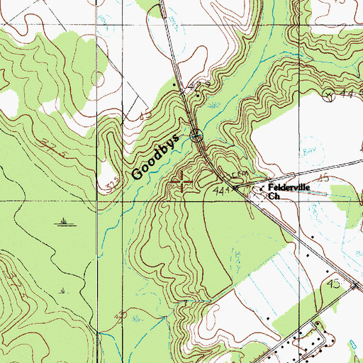 Topographic Map of Goodbys Swamp, SC